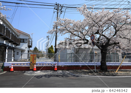 双葉郡富岡町　2020年4月4日 64246342