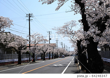 双葉郡富岡町　2020年4月4日 64246347