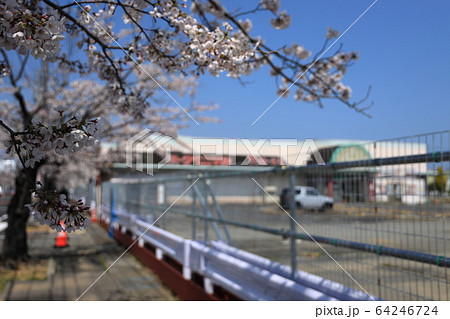 双葉郡富岡町　2020年4月4日 64246724
