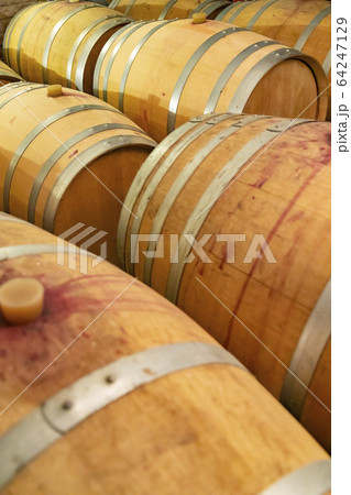 wine cellar in Oberwaltersdorf near Vienna, 64247129