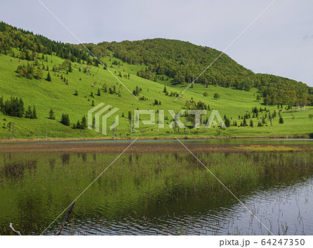 東雲湖　北海道上士幌町　向こう岸 64247350
