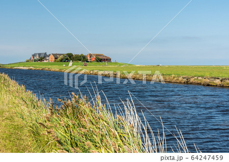 Typical Terp with Tidal Creek in Foreground at Hallig Hooge in North Frisia, Wadden Sea, Germany 64247459