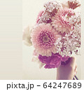 ピンクの花 64247689