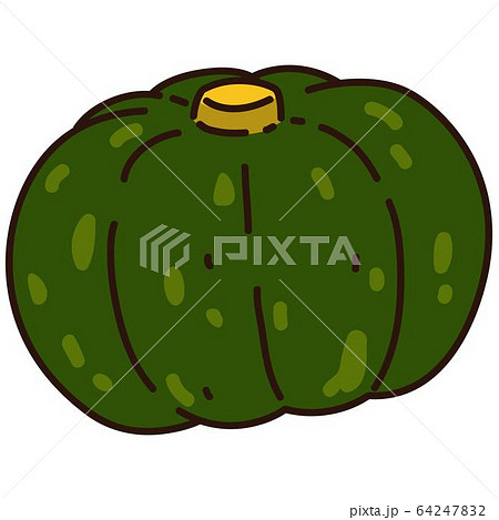 シンプルで可愛いカボチャの手描きのイラスト　主線あり 64247832
