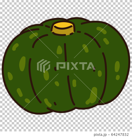 シンプルで可愛いカボチャの手描きのイラスト　主線あり 64247832