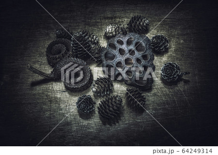 松ぼっくり 64249314