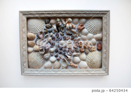 Seashells and corals composition in wooden picture frame isolated on white background 64250434