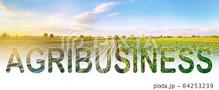 Word inscription agribusiness on agricultural plantation field. Crop and livestock growers. Agroindustry food industry. Production of farm products. Farm Lending. Support, subsidization of landowners. 64253239