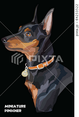 is the german pinscher legal in brunei