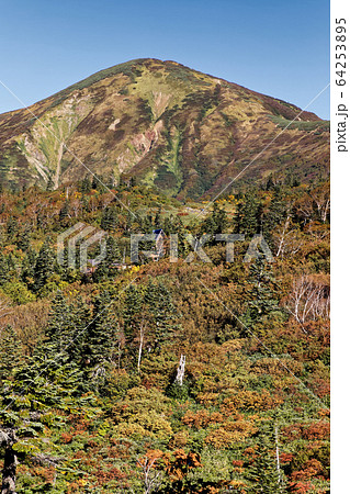 富士見平付近の登山道から望む妙高連峰・火打山 富士見平付近の登山道から望む妙高連峰・火打山 64253895