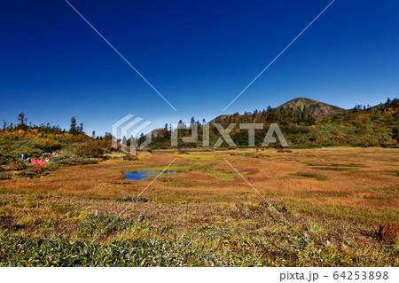 草紅葉の高谷池と妙高連峰・火打山 草紅葉の高谷池と妙高連峰・火打山 64253898