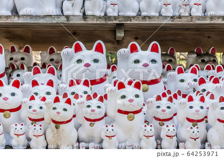 東京都世田谷区豪徳寺のお寺にあるたくさんの招き猫の写真素材 [64253971] - PIXTA