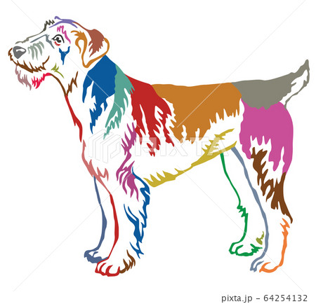 Colorful decorative standing portrait of Airedale 64254132
