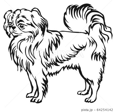 Decorative standing portrait of Japanese Chin Decorative standing portrait of Japanese Chin 64254142