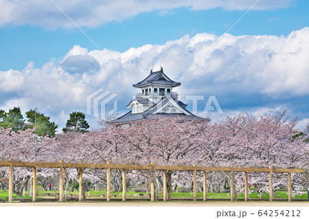 【長浜城 】 滋賀県長浜市公園町 64254212