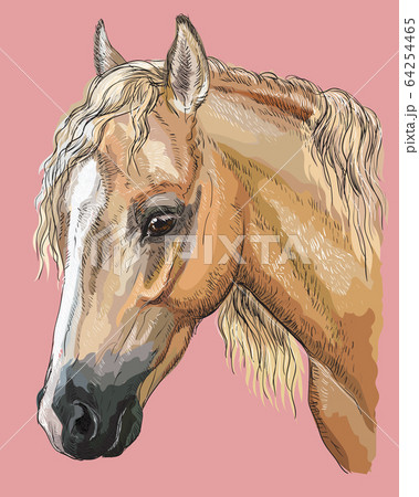 Colorful Horse portrait-8 Colorful Horse portrait-8 64254465