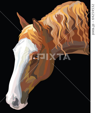 Colored Horse portrait-4 64254532