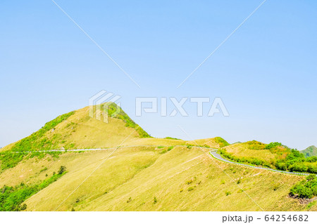 瓶ヶ森林道 64254682