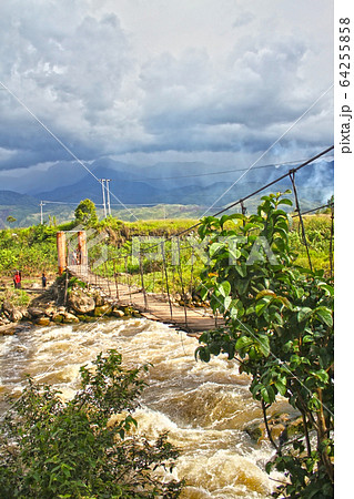 パプアの吊り橋 64255858