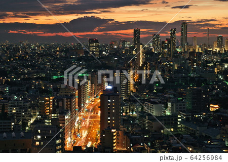 文京シビックセンター　夜景　東京 64256984