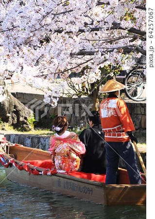 瀬戸の花嫁395 64257067