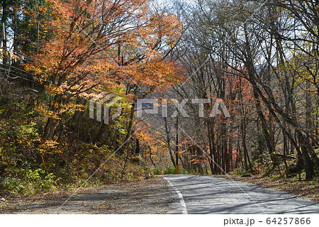 土呂部ダム 2019-11-17 #1 土呂部ダム 2019-11-17 #1 64257866