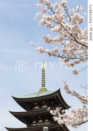 覚王山　日泰寺　五重の塔 64258671