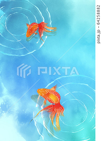 金魚 水彩 暑中見舞い 背景のイラスト素材 6425