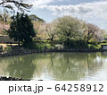 水辺の葉桜 64258912
