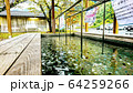 湯来温泉足湯 64259266