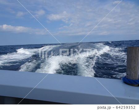 海 64259352