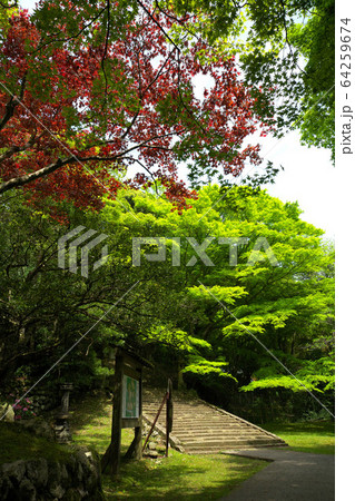 出雲 鰐淵寺の風景 出雲 鰐淵寺の風景 64259674
