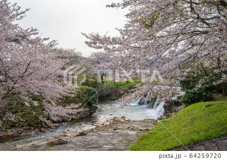 布橋十二ヶ滝（ぬのはしじゅうにがたき）／石川県小松市　西尾地区　 64259720
