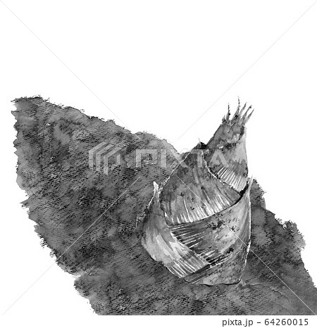 水彩 タケノコ掘り 筍 土 泥 水墨画風 モノトーン 64260015