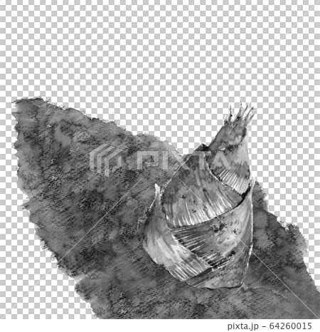 水彩 タケノコ掘り 筍 土 泥 水墨画風 モノトーン 64260015