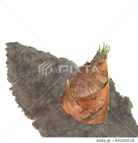 水彩 タケノコ掘り 筍 土 泥 64260016