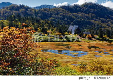 紅葉の高谷池と高谷池ヒュッテ 紅葉の高谷池と高谷池ヒュッテ 64260042