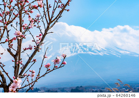 山梨県 富士山 山梨県 富士山 64260146