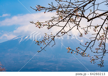 山梨県 富士山 山梨県 富士山 64260213