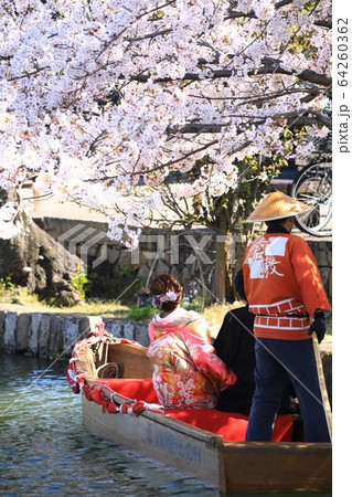 瀬戸の花嫁390 64260362