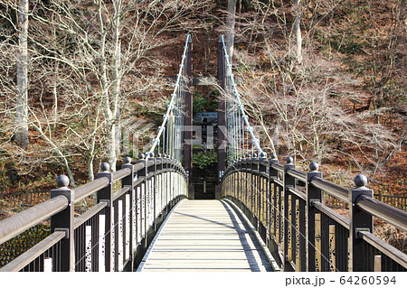 紅の吊橋 64260594