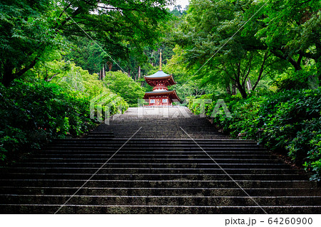 勝尾寺の多宝塔 64260900