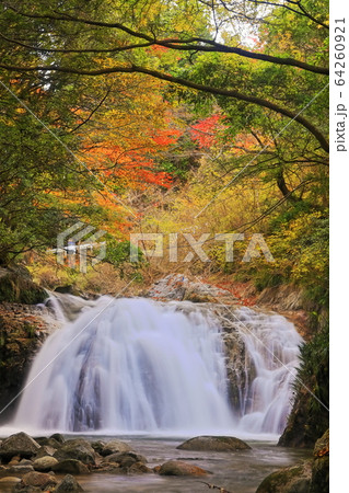 【茨城県】花貫渓谷 乙女滝の紅葉 【茨城県】花貫渓谷 乙女滝の紅葉 64260921