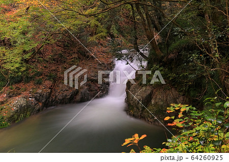 【茨城県】花貫渓谷　不動滝の紅葉 64260925
