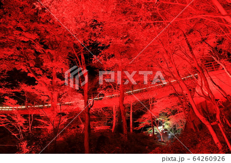 【茨城県】花貫渓谷　汐見滝吊り橋の紅葉ライトアップ 64260926