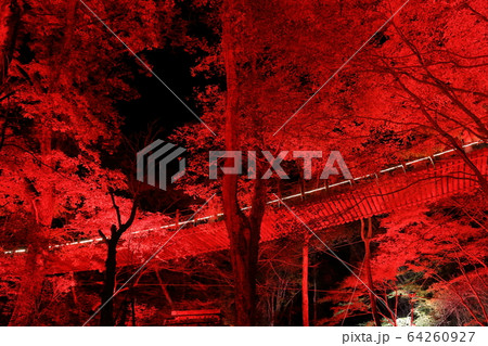 【茨城県】花貫渓谷　汐見滝吊り橋の紅葉ライトアップ 64260927