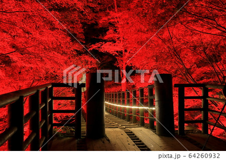 【茨城県】花貫渓谷　汐見滝吊り橋の紅葉ライトアップ 64260932