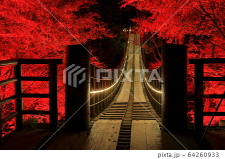 【茨城県】花貫渓谷　汐見滝吊り橋の紅葉ライトアップ 64260933