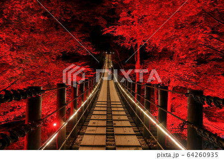 【茨城県】花貫渓谷　汐見滝吊り橋の紅葉ライトアップ 64260935