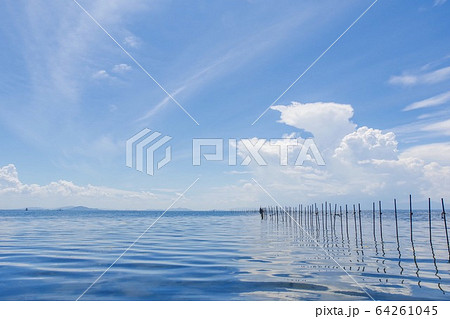 夏 イメージ 64261045